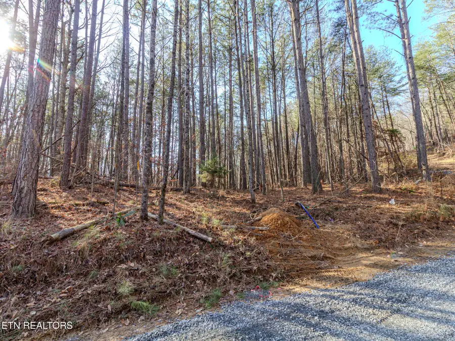Lot 5 Parksville Road, Benton, TN 37307 - #2