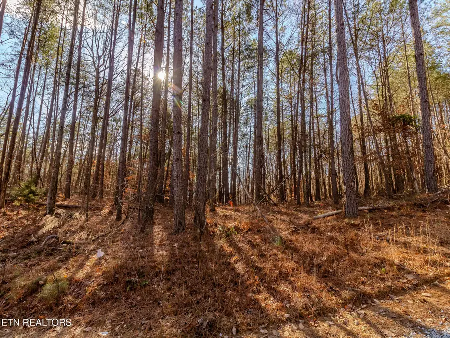 Lot 5 Parksville Road, Benton, TN 37307 - #3