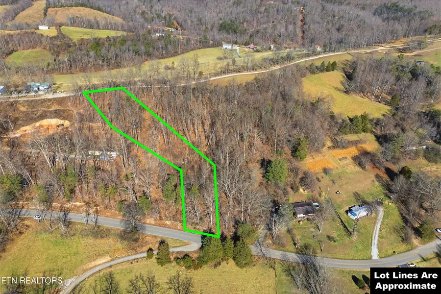 Lot 0 Sugar Hollow Rd, La Follette, TN 37766 - #2