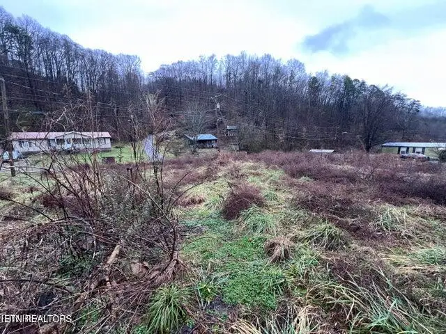 117 Tanyard Lp, Calvin, KY 40813 - #1