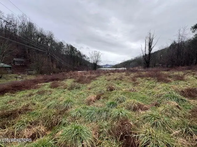 117 Tanyard Lp, Calvin, KY 40813 - #2