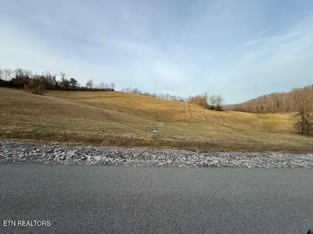 Smokey Quartz Blvd, New Tazewell, TN 37825 - #1