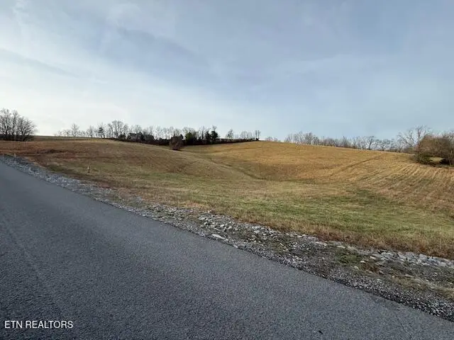 Smokey Quartz Blvd, New Tazewell, TN 37825 - #3