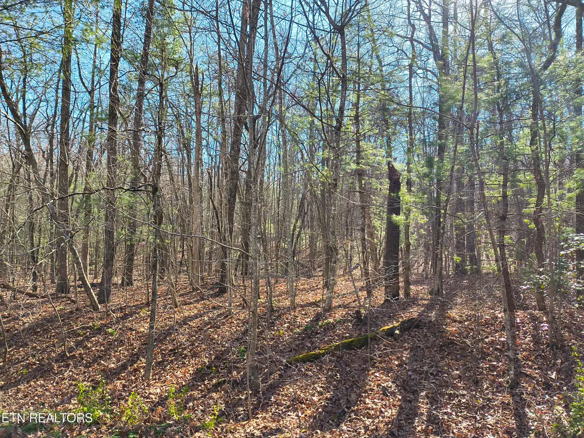 224 Newgate Rd, Crossville, TN 38558 - #1