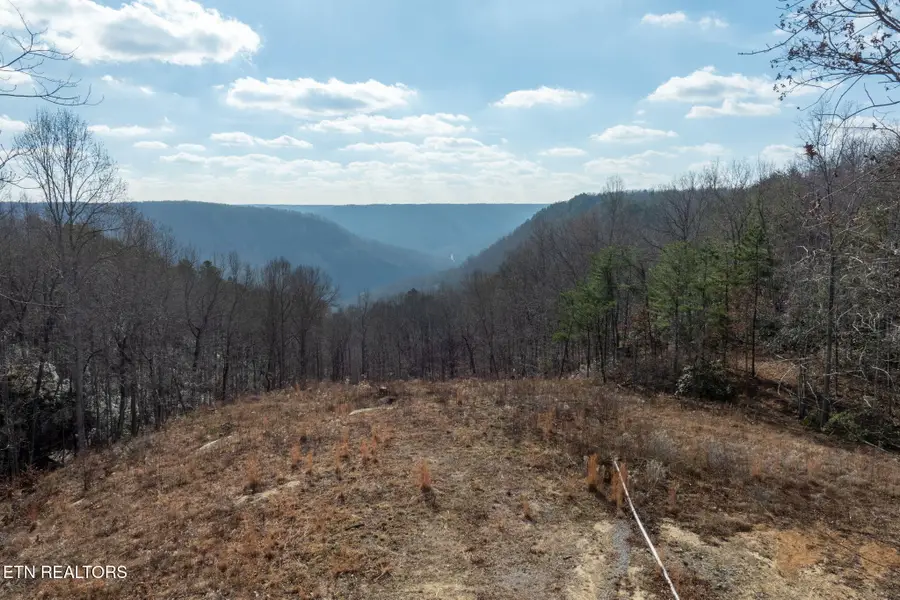 722 Flat Top View Lane Lane, Wilder, TN 38589 - #3