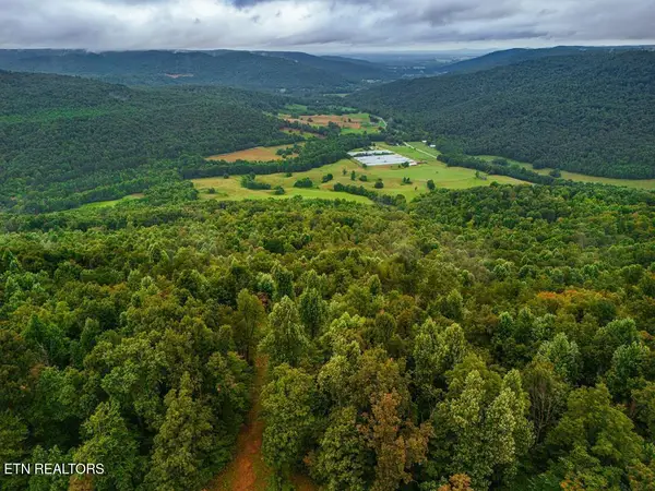 0 Bear Knob Lane, Crawford, TN 38554