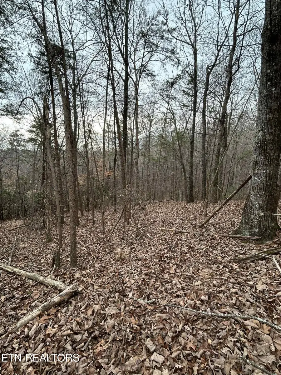 Black Hawk Drive, Ten Mile, TN 37880 - #3