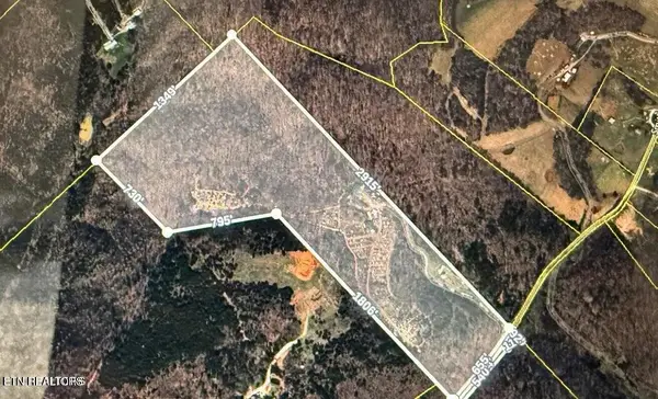 1375 Smith Hollow Rd, Blaine, TN 37709