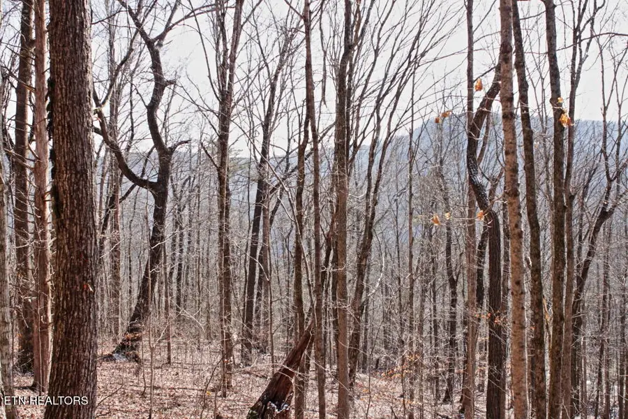 Cheynne Drive, Jamestown, TN 38556 - #2