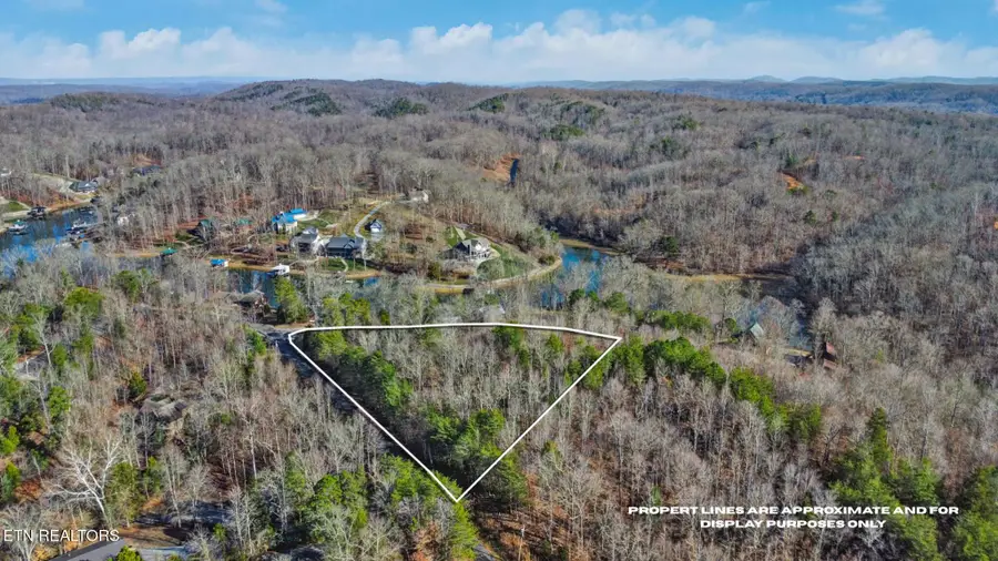 Red Cloud Lane, Ten Mile, TN 37880 - #2