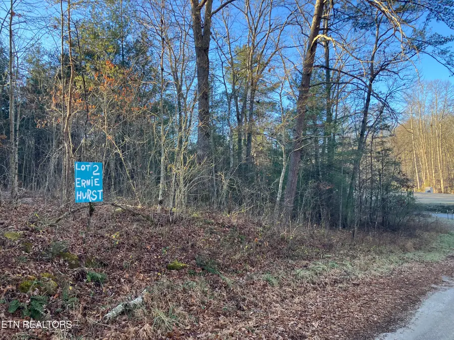 116 Ernie Hurst Rd, Deer Lodge, TN 37726 - #2