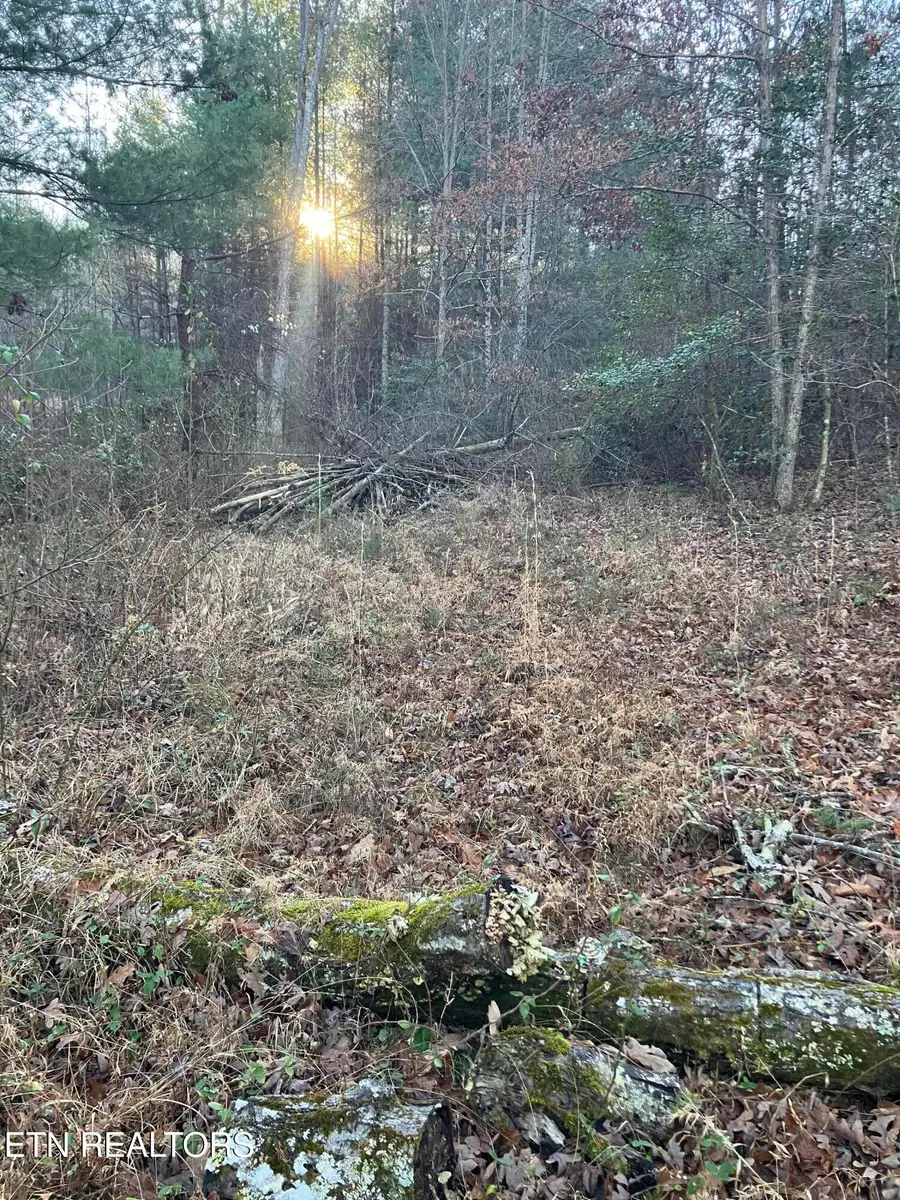 116 Ernie Hurst Rd, Deer Lodge, TN 37726 - #3