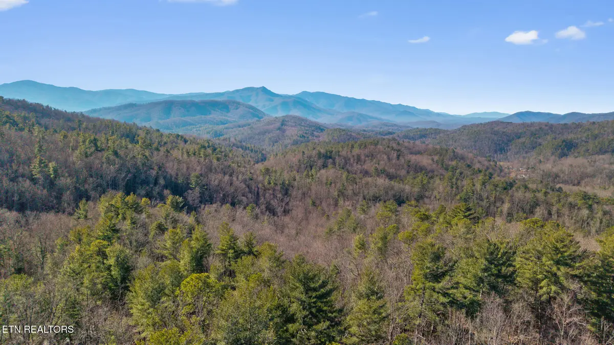 4855 Teague Branch Rd, Hartford, TN 37753 - #1