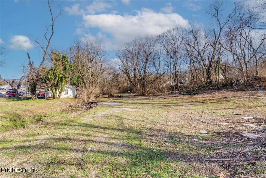 4004 Catalpa Ave, Knoxville, TN 37914 - #3