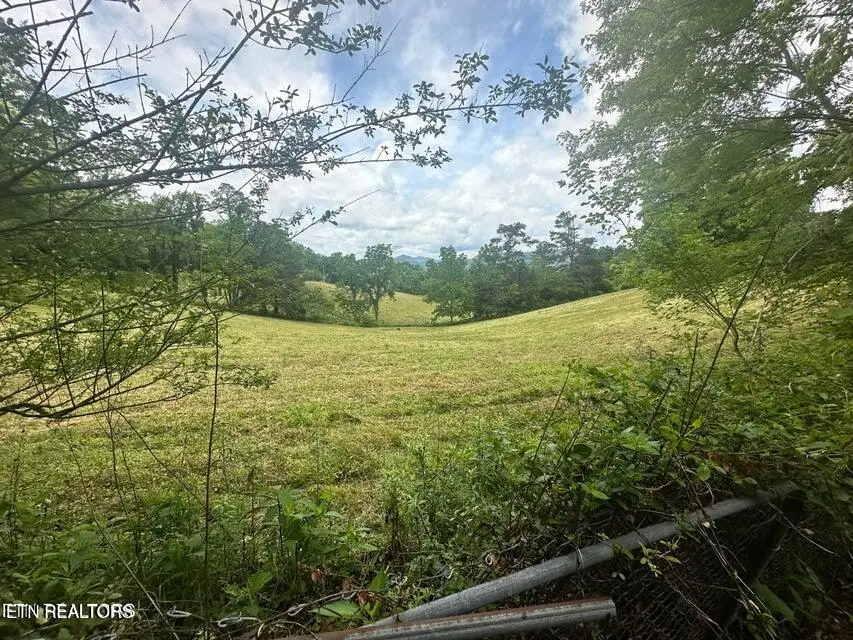 1123 Pleasant Ridge Rd, Lafollette, TN 37766 - #1