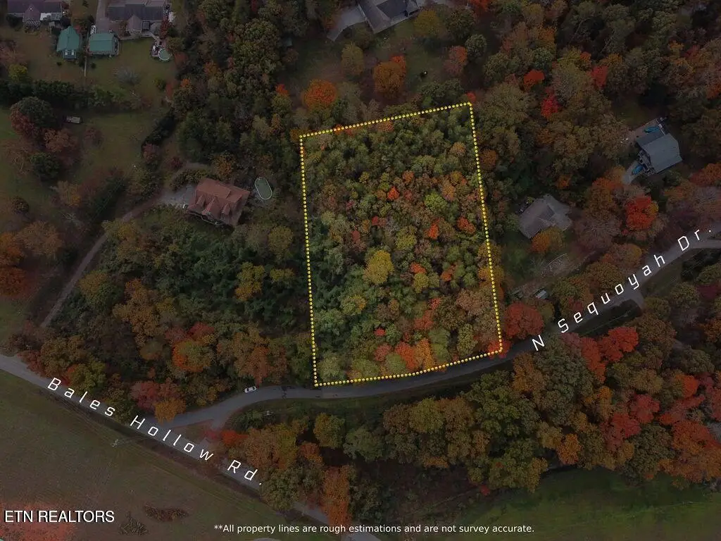 N Sequoyah Drive, Friendsville, TN 37737 - #1