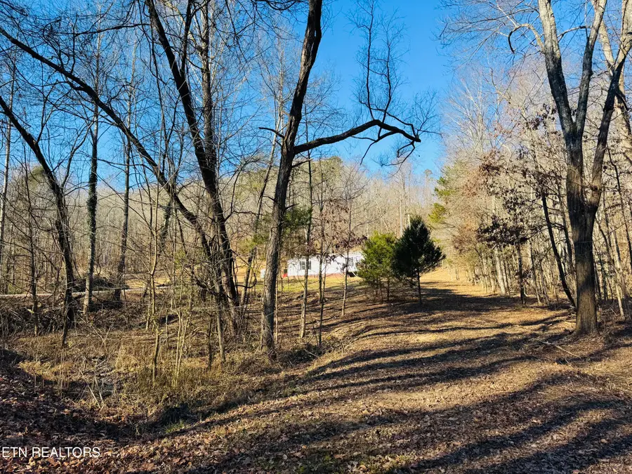 253 Little Johnson Valley Rd, Kingston, TN 37763 - #3