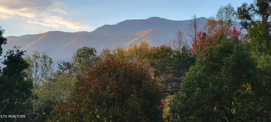 1613 Lake Drive, Gatlinburg, TN 37738 - #2