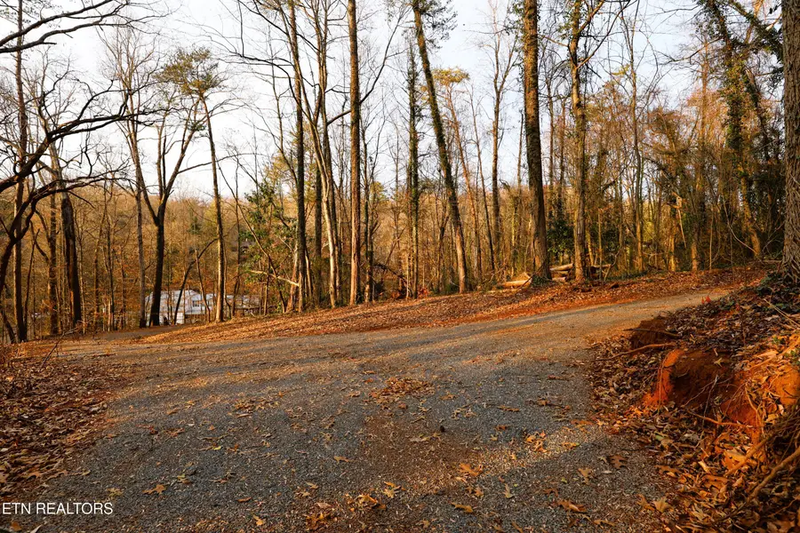 Montlake Lot 2 Drive, Knoxville, TN 37920 - #2