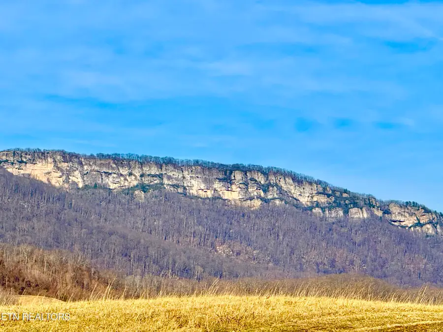 315 Rowlett Tr, Ewing, VA 24248 - #3