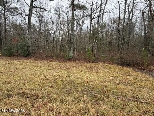 Lot 8 Cumberland Lakes Drive, Monterey, TN 38574 - #1