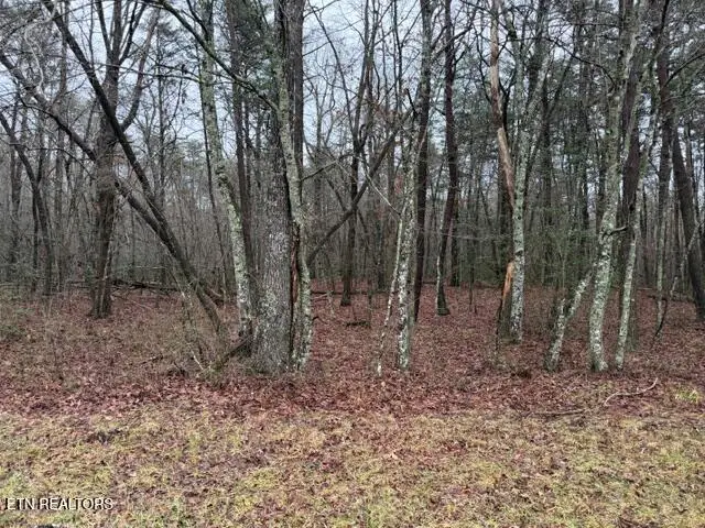 Lot 5 Cumberland Lakes Drive, Monterey, TN 38574 - #1