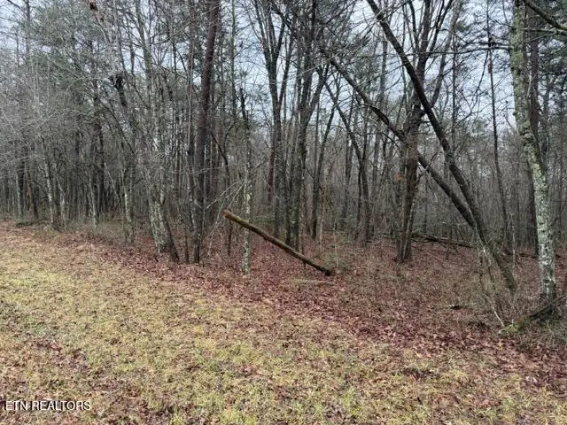 Lot 5 Cumberland Lakes Drive, Monterey, TN 38574 - #3
