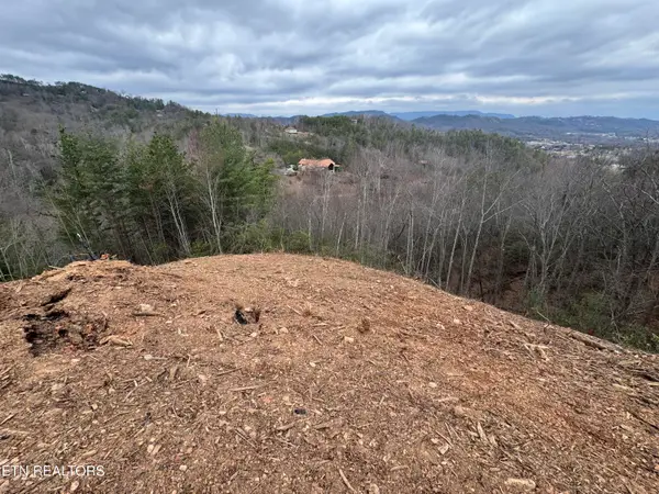 Hikers Path Lane, Sevierville, TN 37862