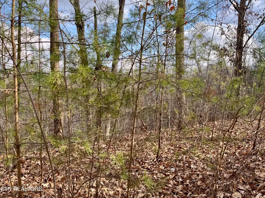 Dollys Drive, Sevierville, TN 37868 - #3