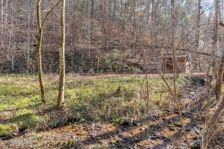 1559 Spring Creek Rd, Reliance, TN 37369 - #3