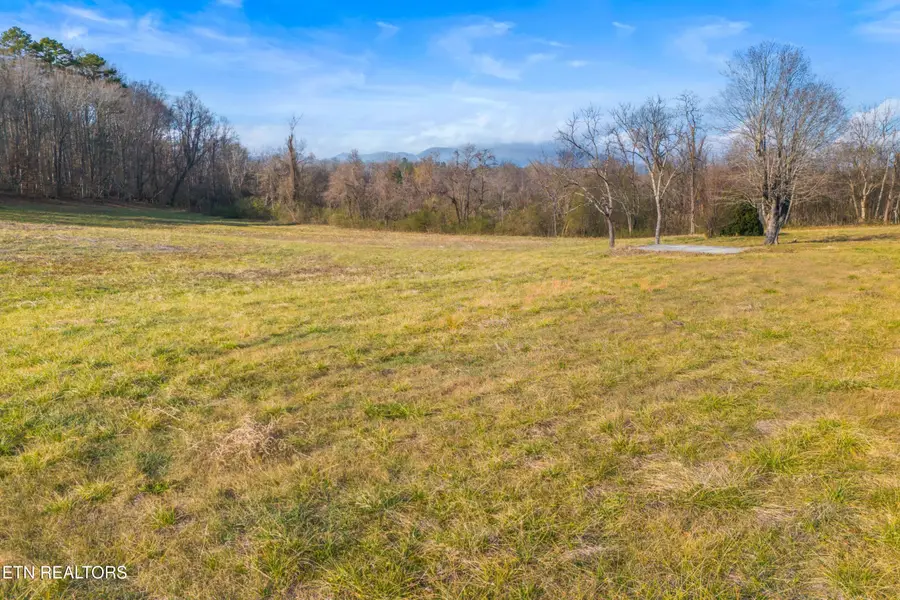 4121 Chavis Rd, Cosby, TN 37722 - #3