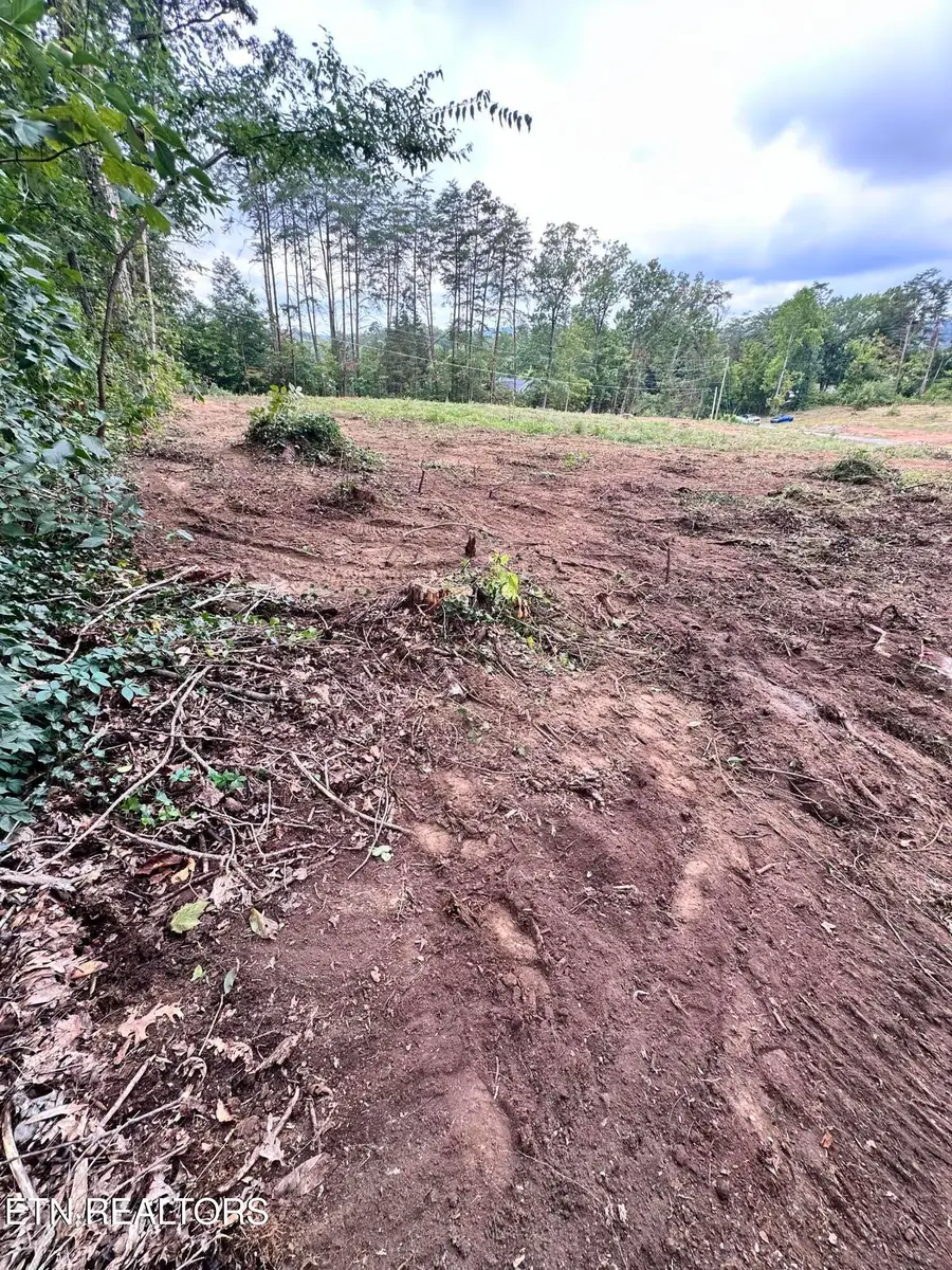 1554 Hall Acres Drive, Knoxville, TN 37918 - #3