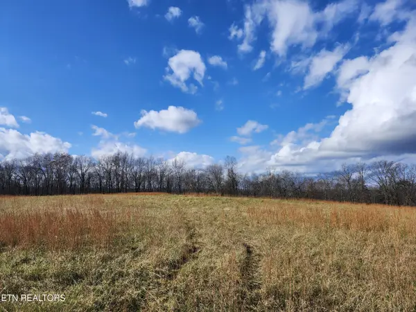 379 Christenson Rd, Deer Lodge, TN 37726