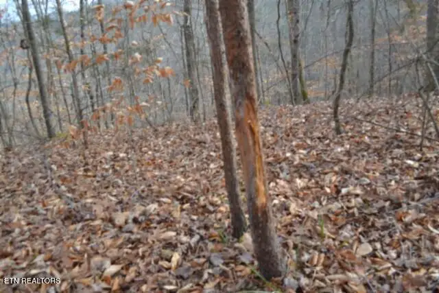 6.49ac Garrett Town Lane, Monroe, TN 38573 - #2