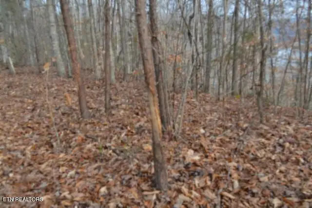 6.49ac Garrett Town Lane, Monroe, TN 38573 - #3