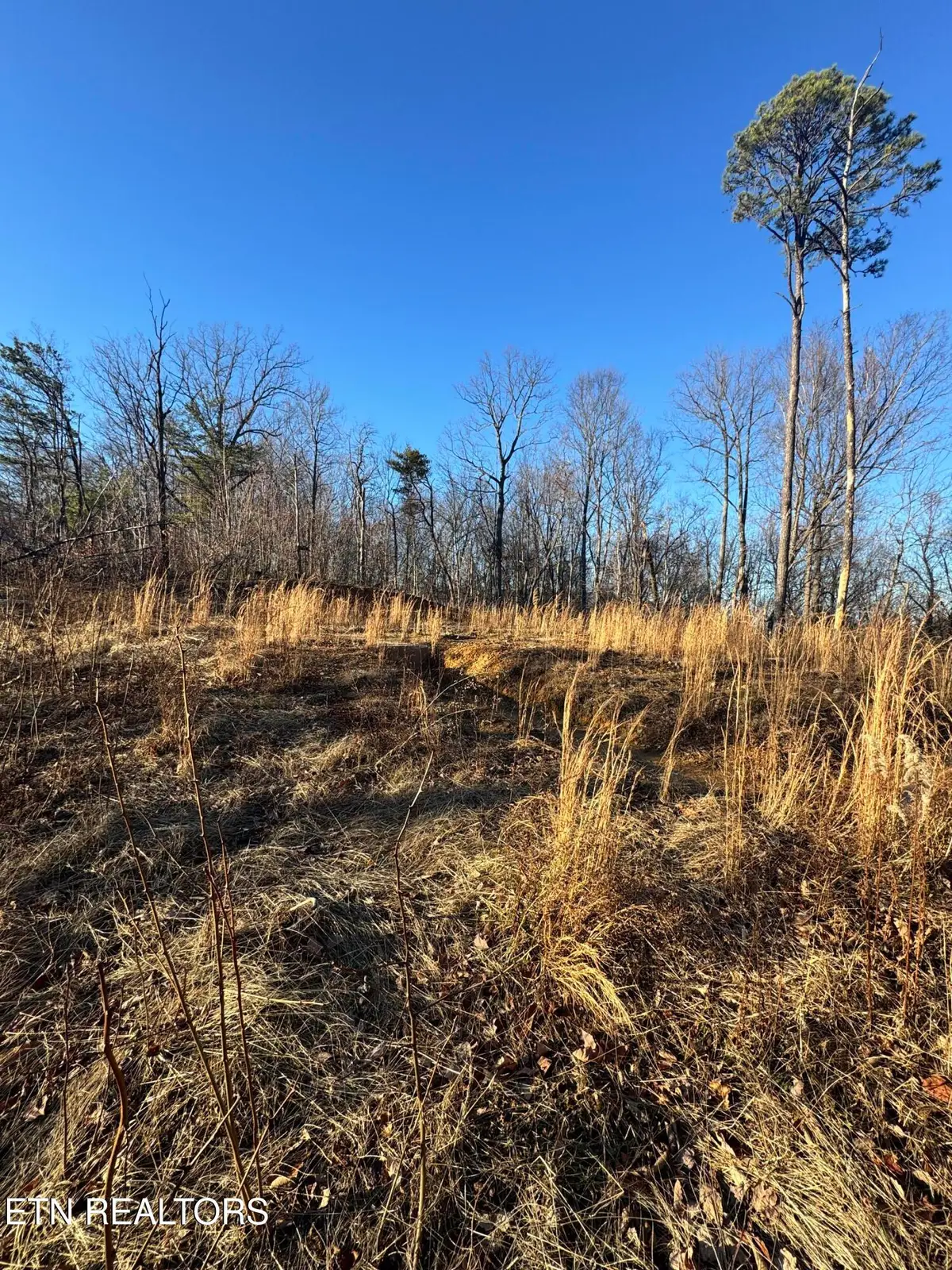 3361 Sugar Maple Loop Rd, Sevierville, TN 37862 - #1