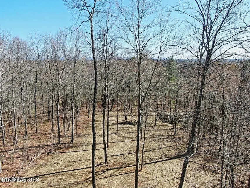 72 Acres Cole Place Rd, Allardt, TN 38504 - #1