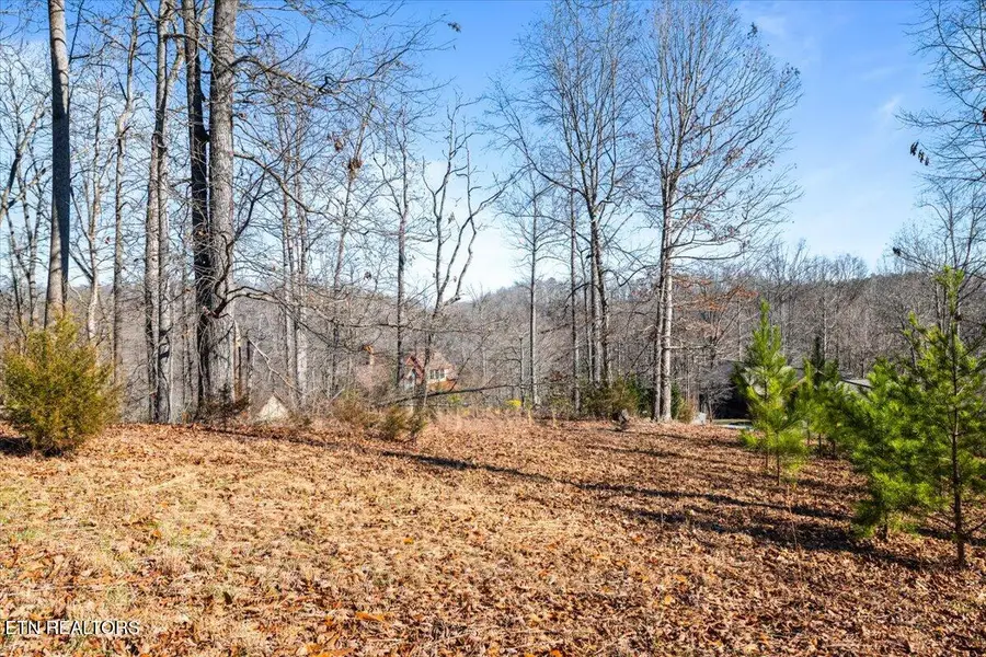 Foxwood Drive, Caryville, TN 37714 - #2