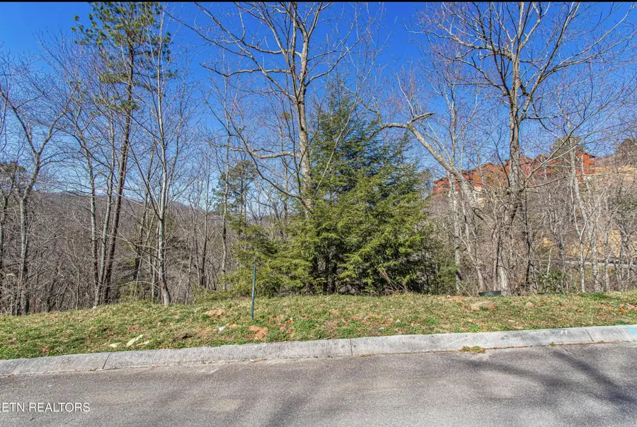 Lot #64 Smoky Ridge Way, Sevierville, TN 37862 - #3