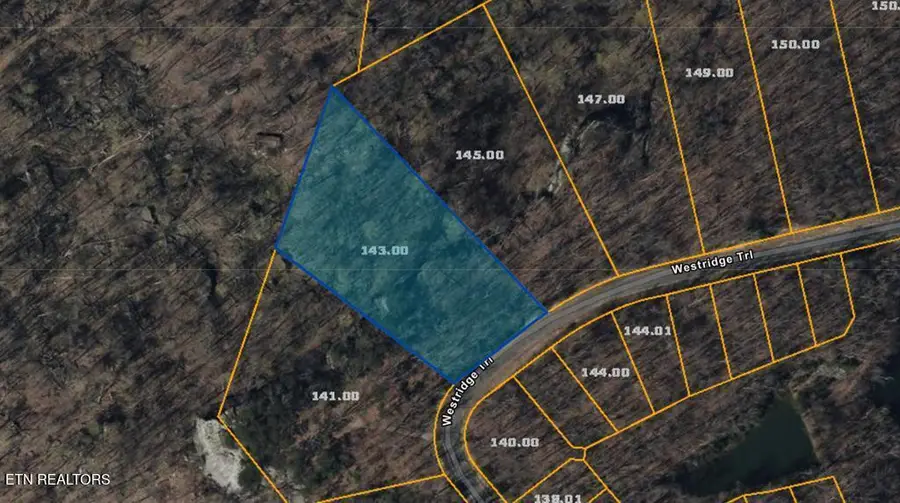 100 Westridge Tr, Monterey, TN 38574 - #3
