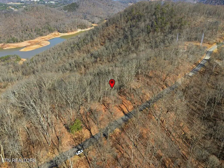 141 Chelaque Way, Mooresburg, TN 37811 - #2