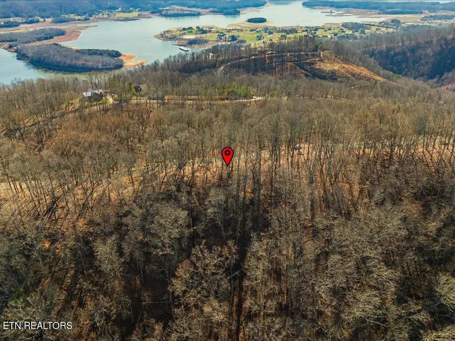 141 Chelaque Way, Mooresburg, TN 37811 - #3