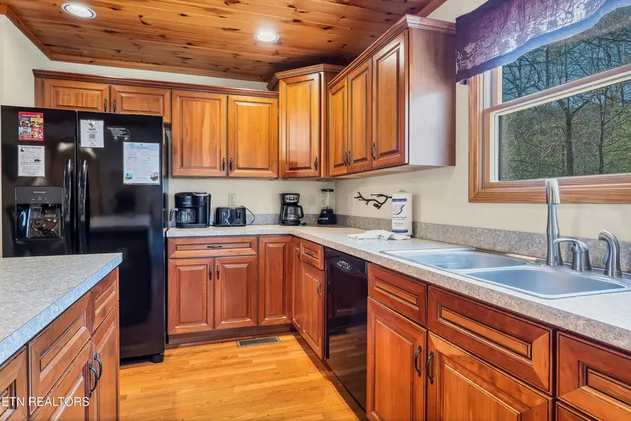 319 Rainbow Circle, Townsend, TN 37882 - #3