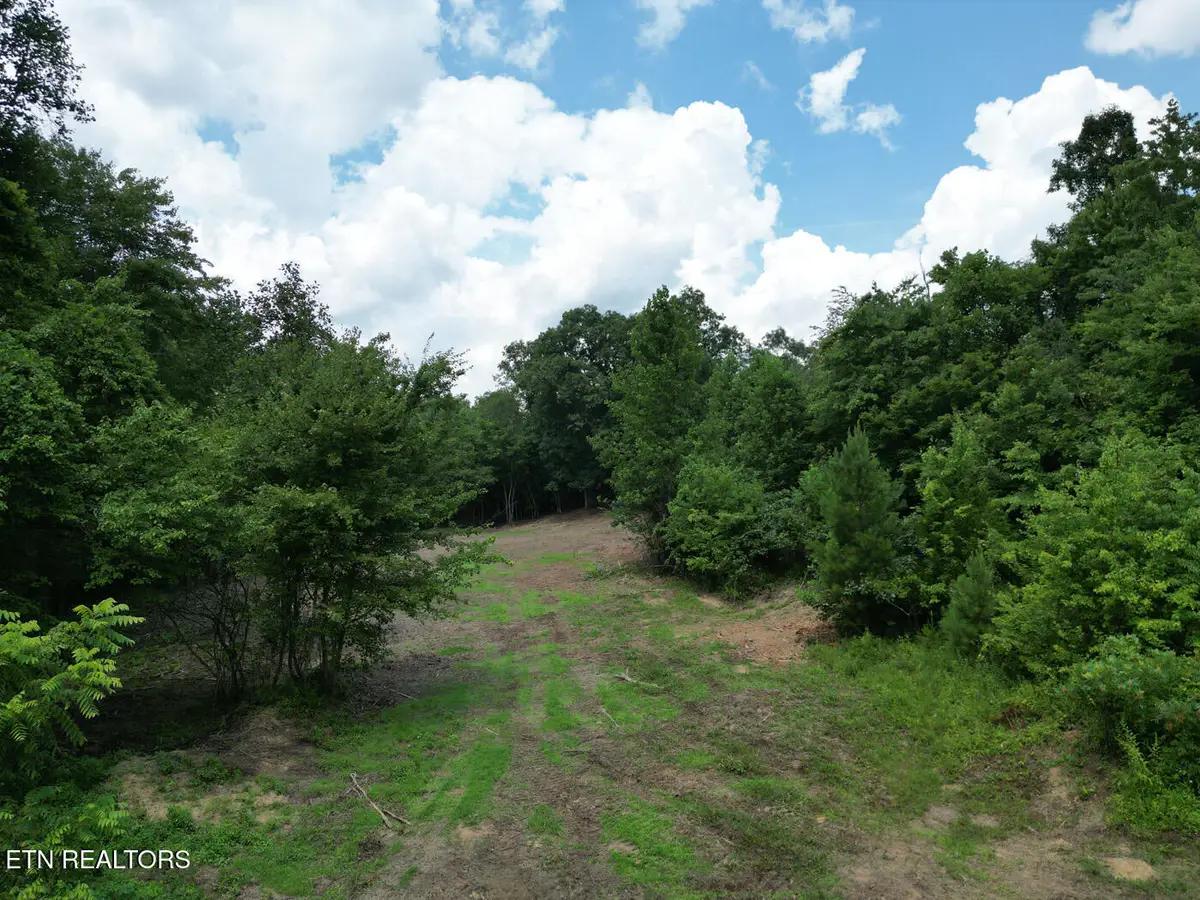 Sheep Ranch Rd, Robbins, TN 37852 - #1