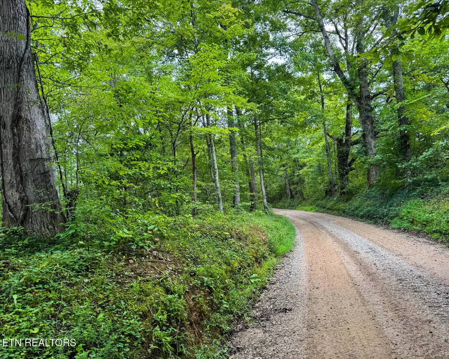 Sheep Ranch Rd, Robbins, TN 37852 - #2