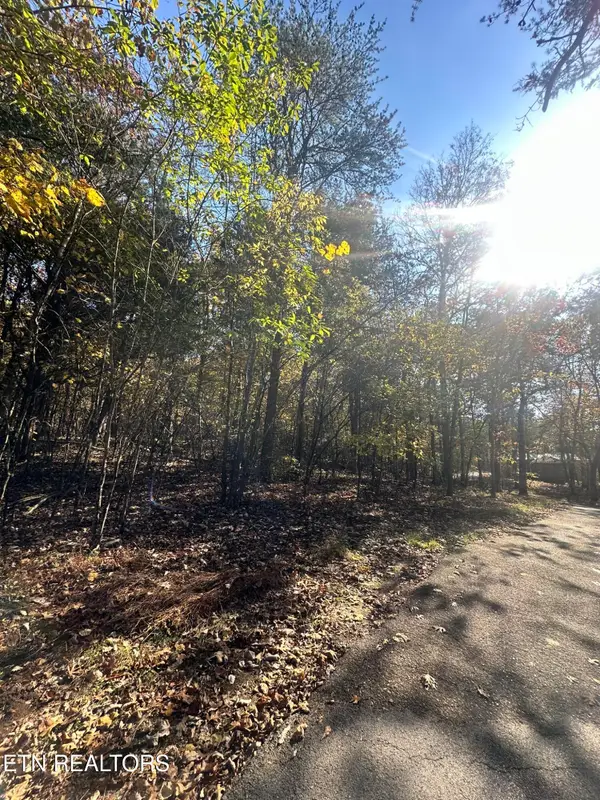 656 Bluegreen Way, Tazewell, TN 37879