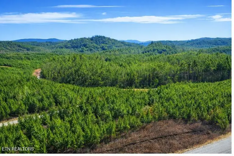 Ridgeline Dr, Vonore, TN 37885 - #1