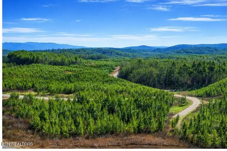 Ridgeline Dr, Vonore, TN 37885 - #2