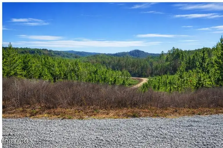 Ridgeline Dr, Vonore, TN 37885 - #3