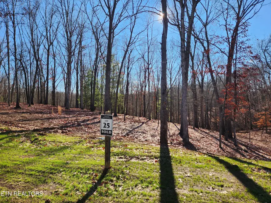 184 Hammock Court, Loudon, TN 37774 - #3